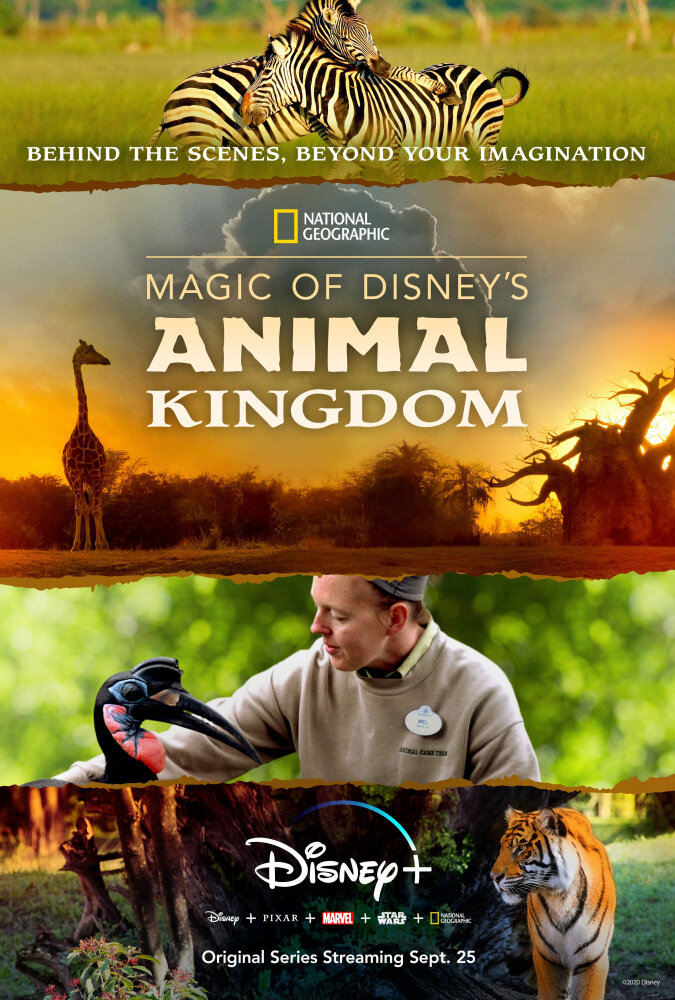 Magic of Disney's Animal Kingdom (2020)