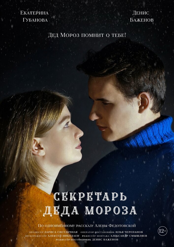 Секретарь Деда Мороза (2023)