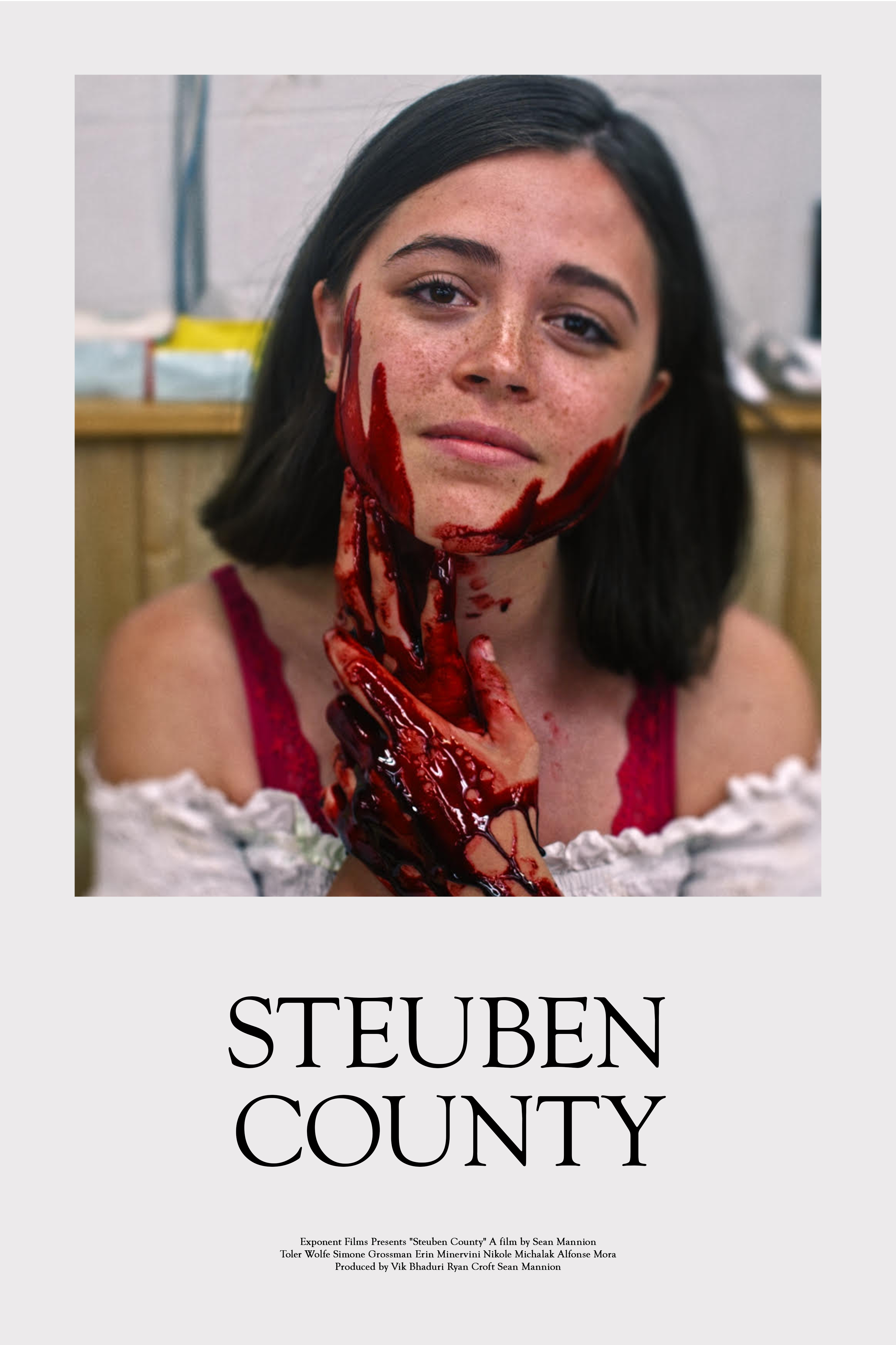 Steuben County (2020)