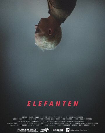 Elefanten (2017)